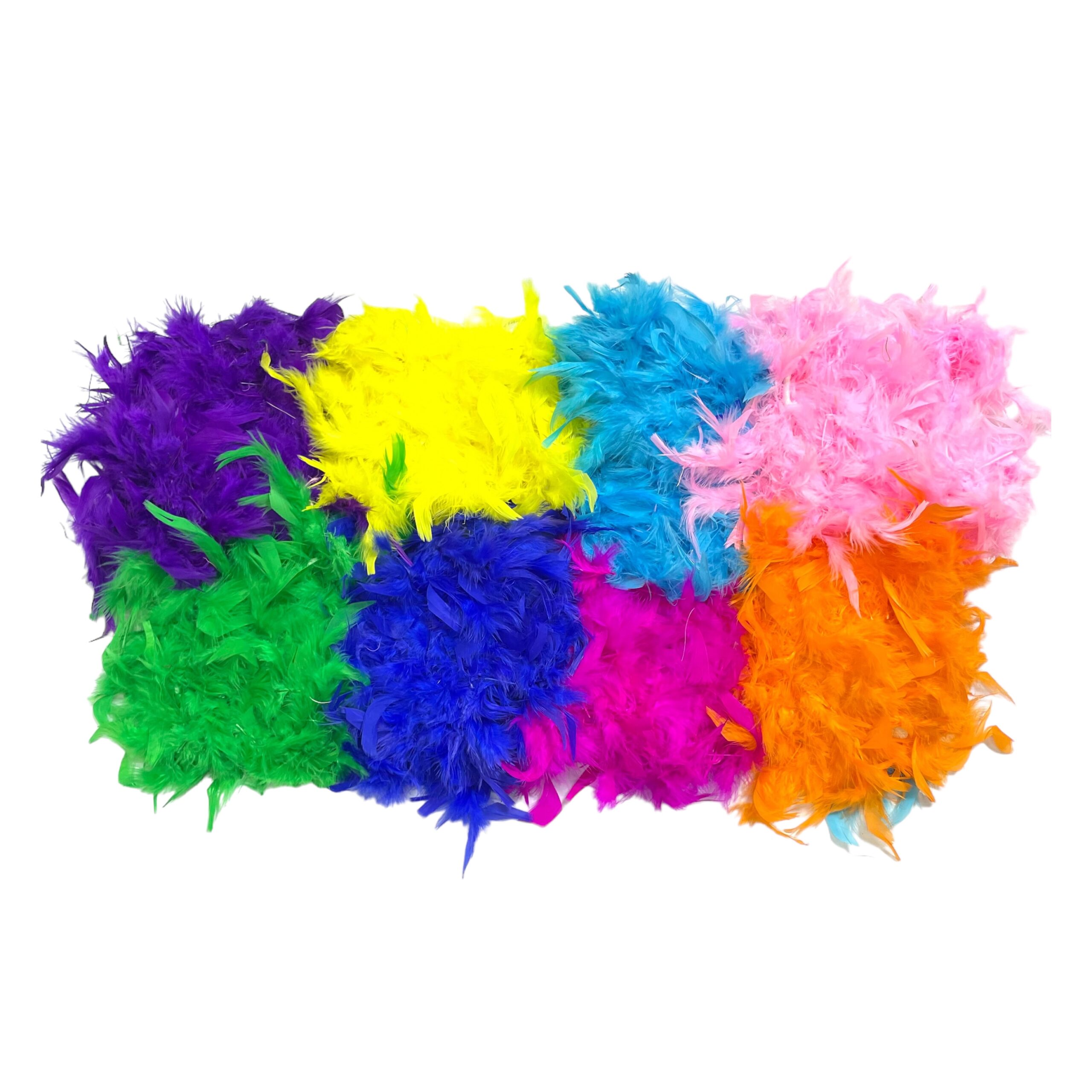 Boa de Plumas - Imagen 2