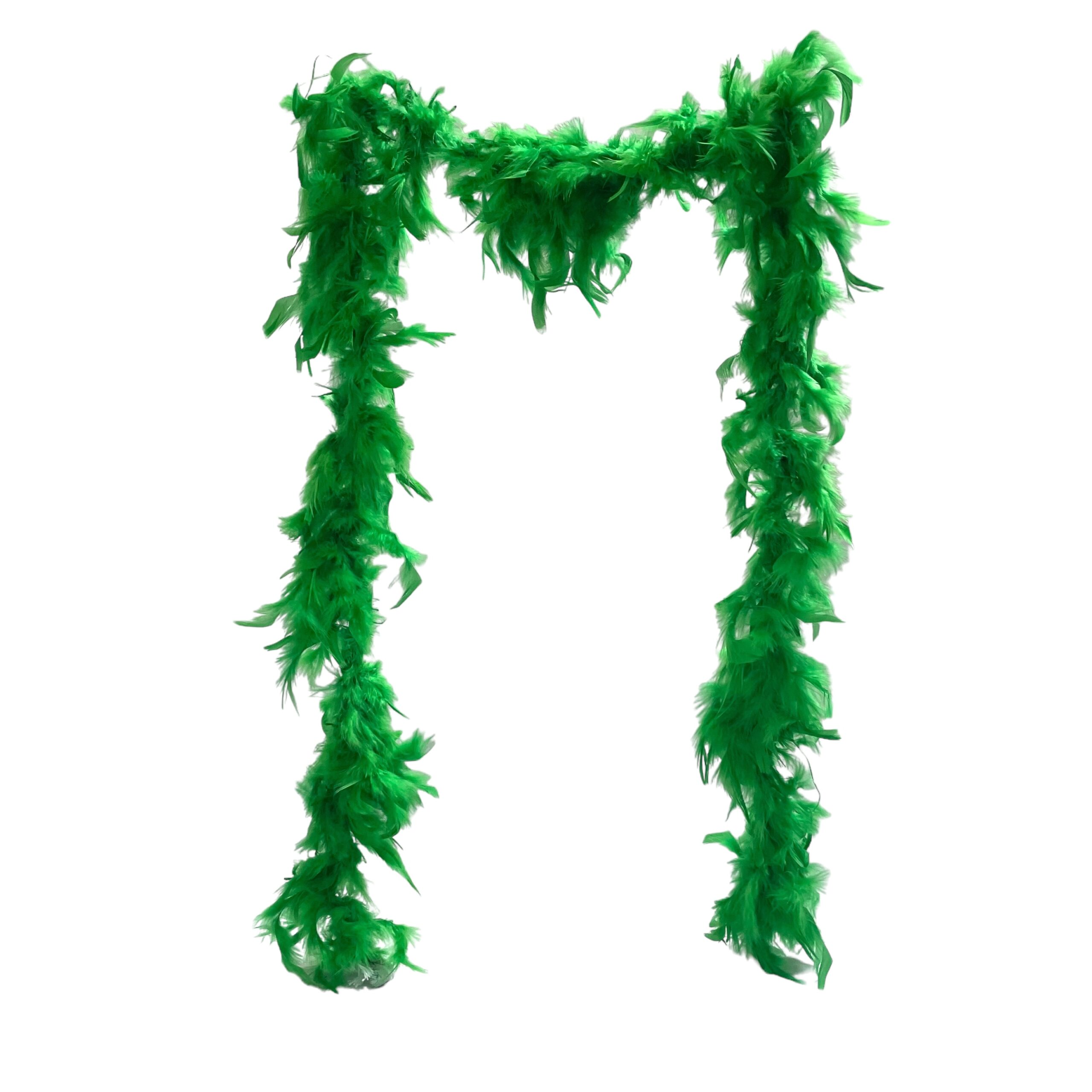 Boa de Plumas - Imagen 3