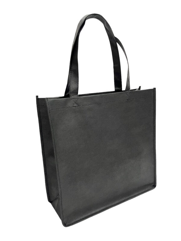 Bolsa Ecologica 33x33x13